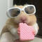 Hamshi